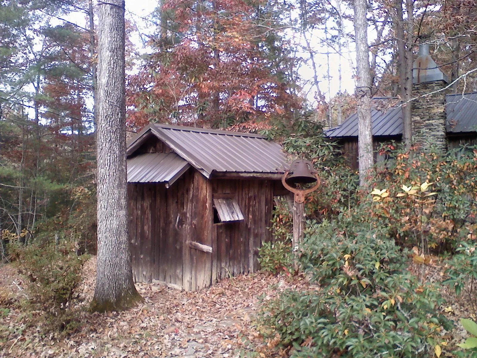 Small metal roof on a rough sawn shed in the woods in Greensburg